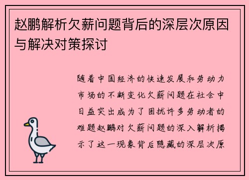 赵鹏解析欠薪问题背后的深层次原因与解决对策探讨